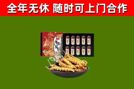 漯河市烟酒回收冬虫夏草礼盒.jpg